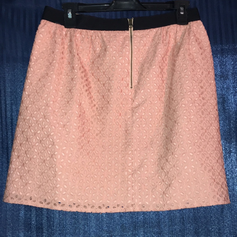 Ann Taylor Loft light pink embroidery skirt size 4